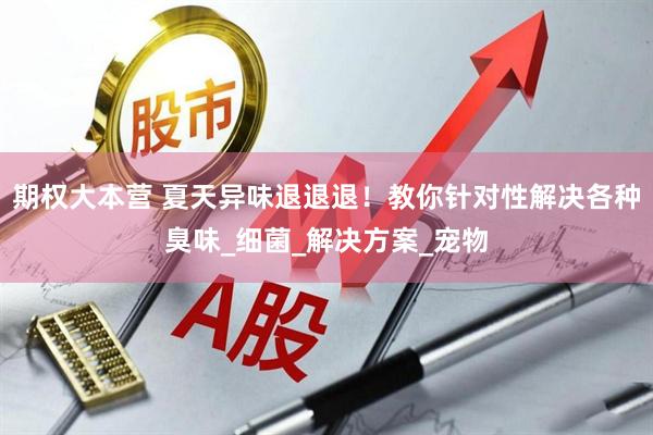 期权大本营 夏天异味退退退！教你针对性解决各种臭味_细菌_解决方案_宠物