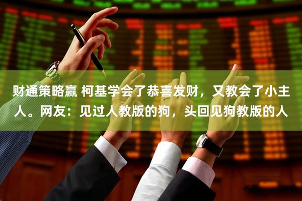 财通策略赢 柯基学会了恭喜发财,又教会了小主人。网友:见过人教版的狗,头回见狗教版的人